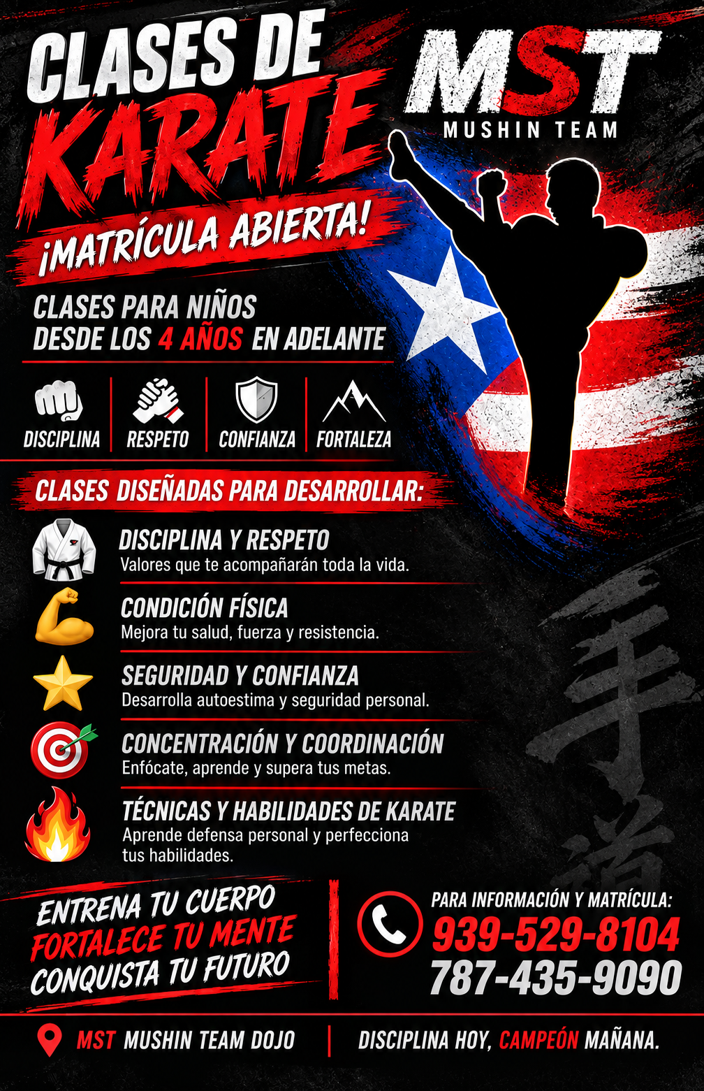 Afiche oficial de MST Mushin Team Dojo
